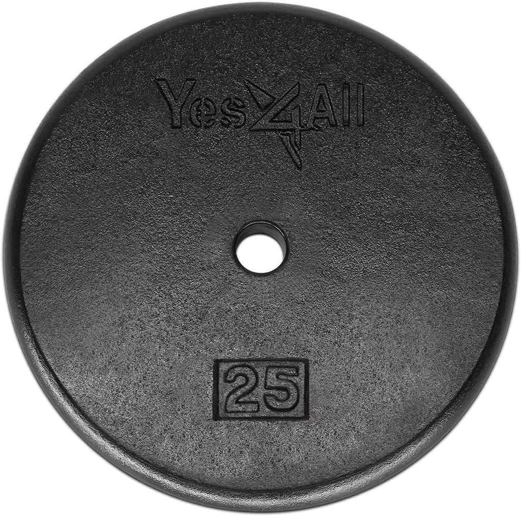 25 Lbs Standard Weight Plates, 1 Inch Cast Iron Weight Plates for Dumbbells, Single