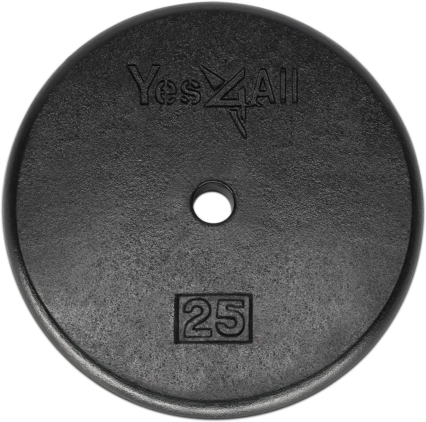 25 Lbs Standard Weight Plates, 1 Inch Cast Iron Weight Plates for Dumbbells, Single