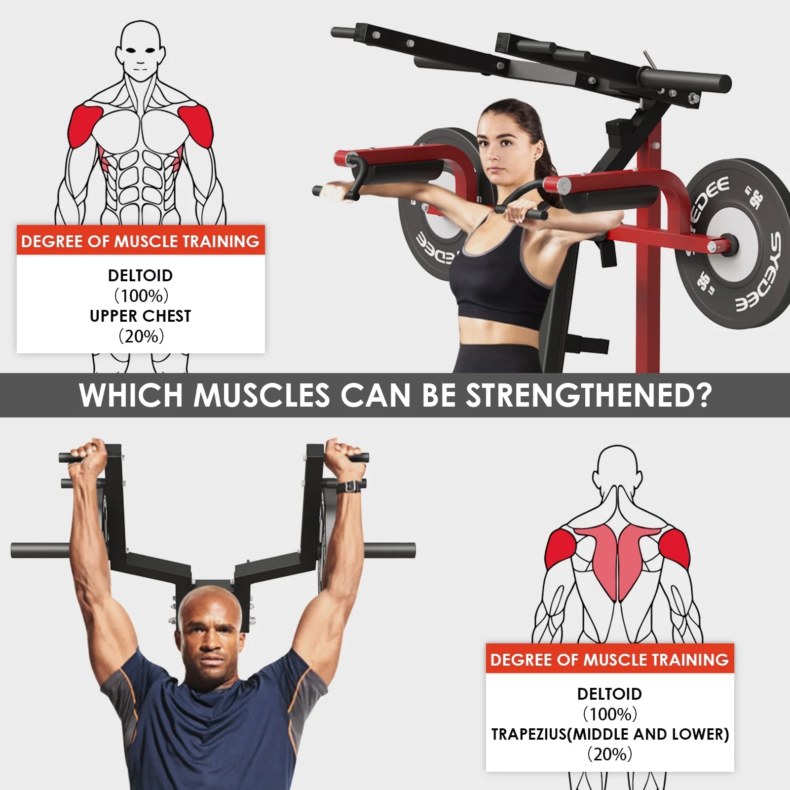 Plate Loaded Deltoid and Shoulder Press Machine, Multifunctional Lateral Raise Machine with Adjustable Seat and Backrest, 800 Weight Capacity