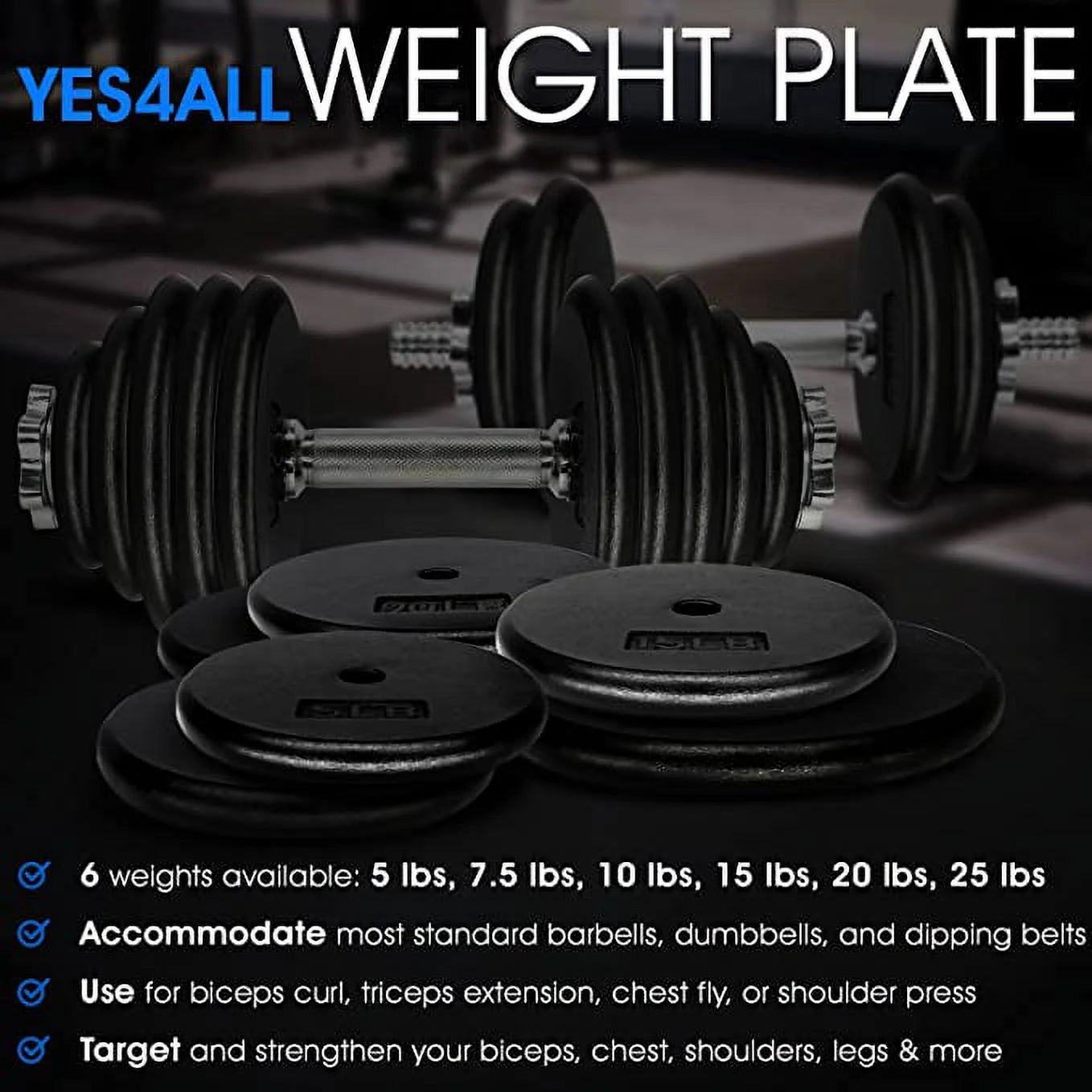 25 Lbs Standard Weight Plates, 1 Inch Cast Iron Weight Plates for Dumbbells, Single
